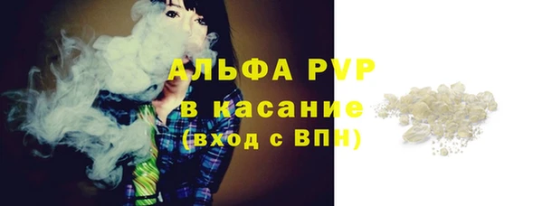 стаф Абаза