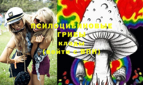 твердый Абинск