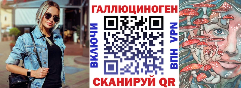 даркнет сайт Нюрба Псилоцибиновые грибы Cubensis